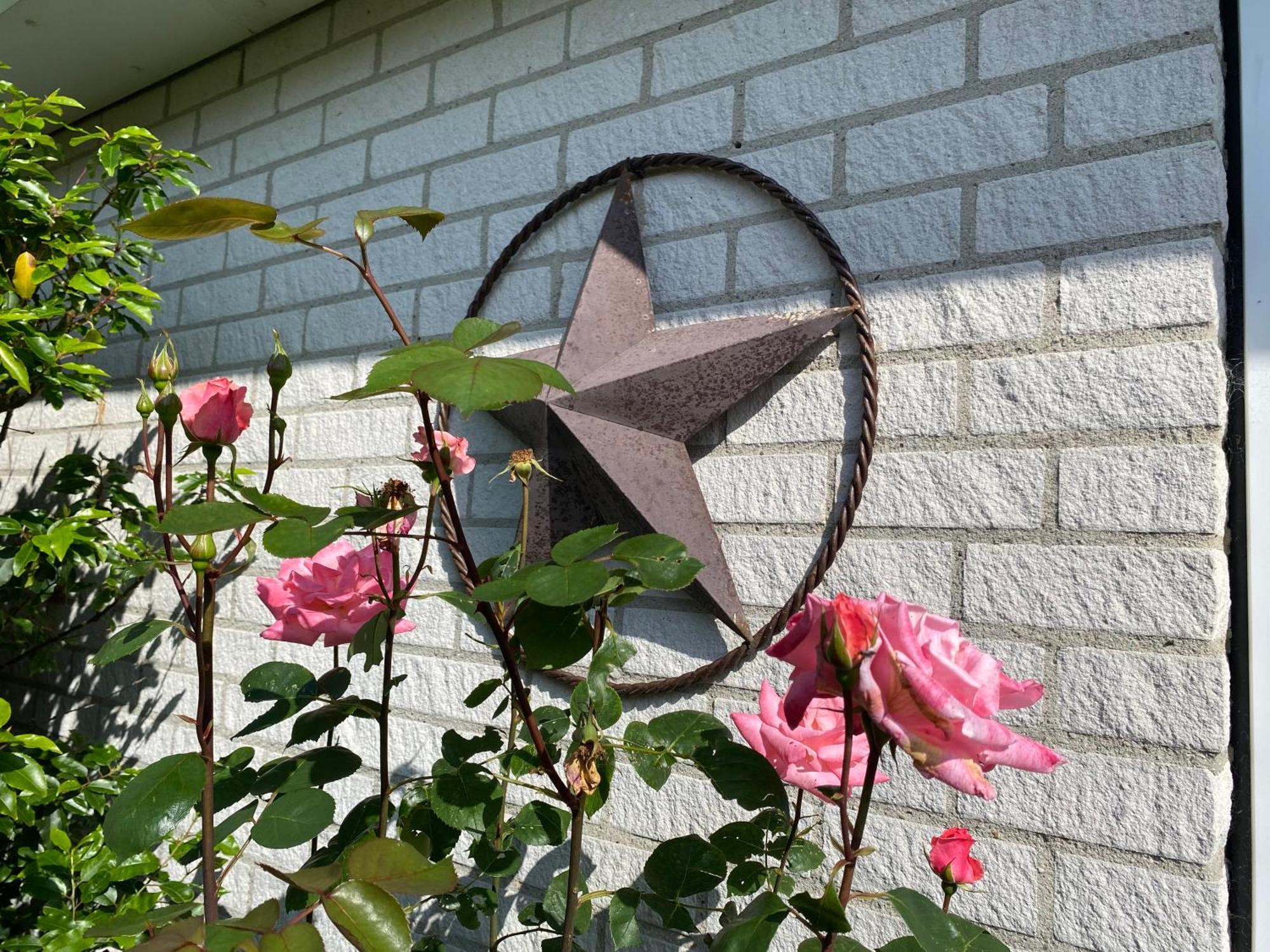 Lonestar Appartement Burgh-Haamstede Eksteriør bilde